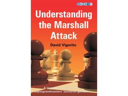 7776 Understanding the Marshall Attack Big