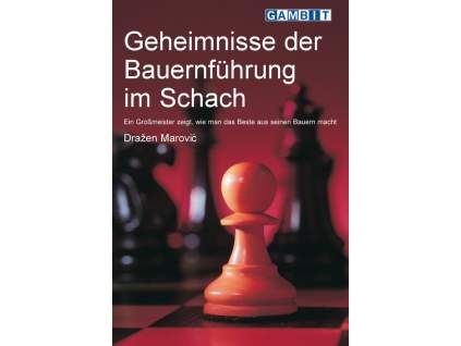 7815 Geheimnisse der Bauernfuhrung im Schach Big