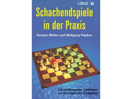 7821 Schachendspiele in der Praxis Big
