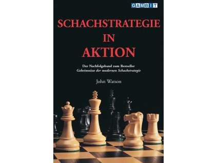 7822 Schachstrategie in Aktion Big