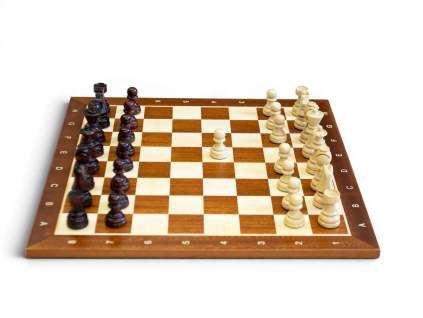 3173 1 drevena sachova suprava staunton kralovska