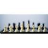 8866 4 magneticke sachy a dama male