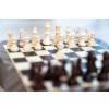 9131 9 magnet master chess