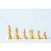 9807 sachove figurky staunton m