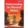7776 Understanding the Marshall Attack Big
