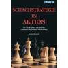 7822 Schachstrategie in Aktion Big