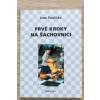 2033 prve kroky na sachovnici