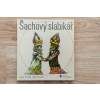 2429 sachovy slabikar