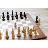 3839 9 3839 9 delux eben sachova suprava judit polgar