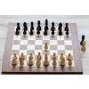 3839 8 3839 8 delux eben sachova suprava judit polgar