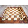 4891 9 4891 9 sachova suprava briar orient
