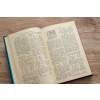 5029 2 a alechin medzinarodne sachove turnaje 1924 1927