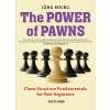 6690 the power of pawns
