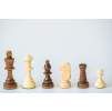 7176 1 7176 1 sachove figurky staunton glaze